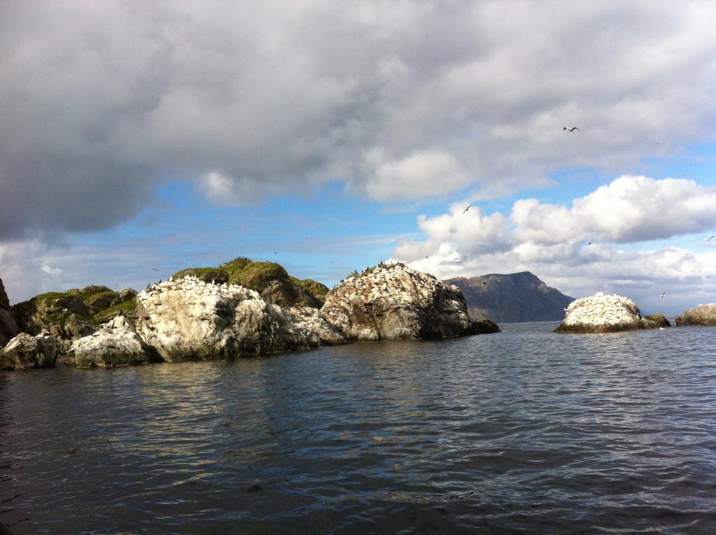 Buodden Rorbuer - Fisherman Cabins Sørvågen Exterior foto